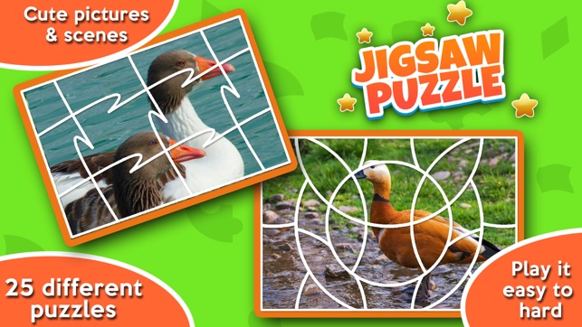 Birds Jigsaw Puzzle - Kids Puzzle(圖1)-速報App