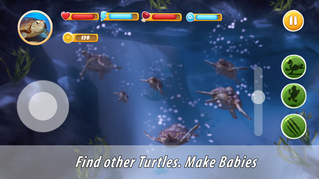 Turtle Family Simulator(圖2)-速報App