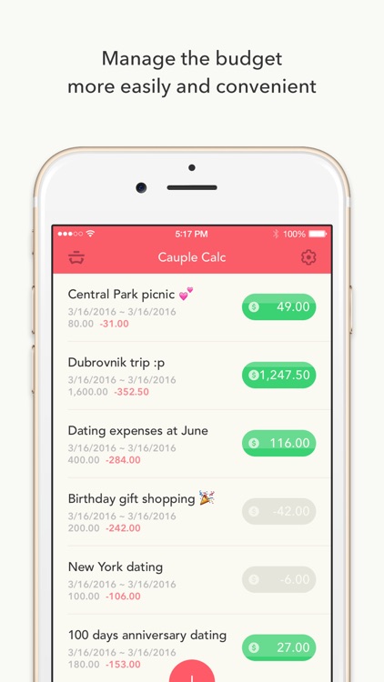 Minibudget Pro - Managing on a low budget