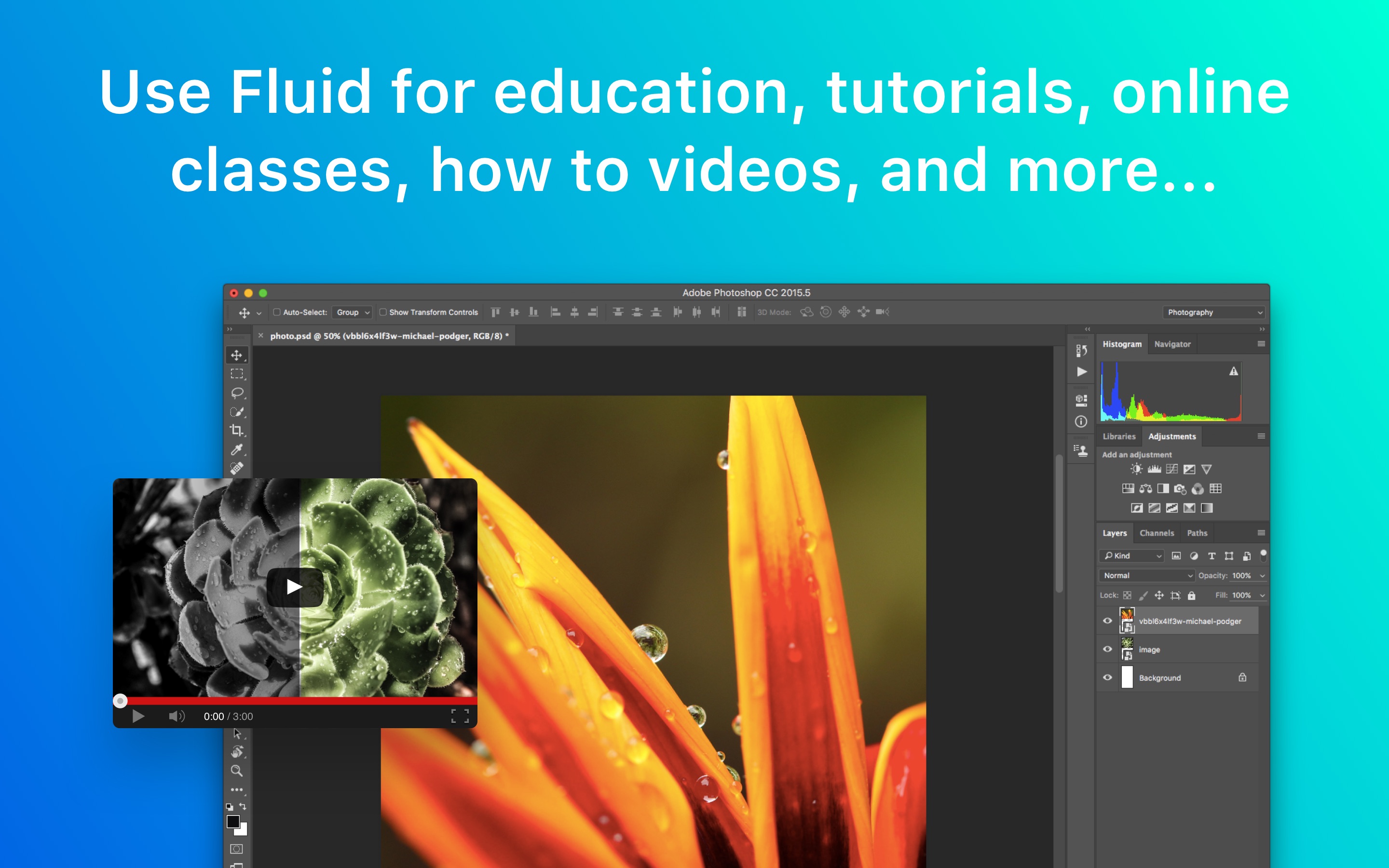 Screenshot do app Fluid Browser