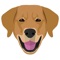 Finally a great personalised app for your Chesapeake Bay Retriever