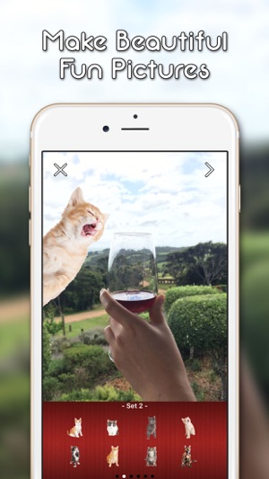 KittyGram - Cutest Cats Photo Decorator Free(圖2)-速報App