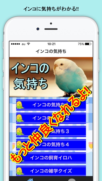 インコの気持ち screenshot-3