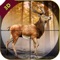 Target Deer Hunting 2017