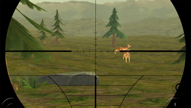 3D Deer Hunt King