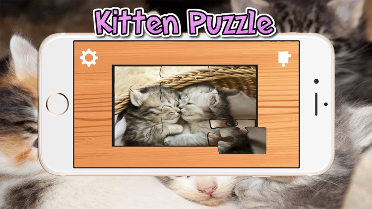 Cat Kitten Kitty Pet Jigsaw Puzzles for toddlers