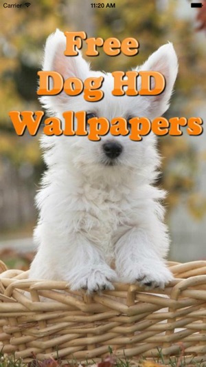 Dog Wallpapers (HD) - Cute Puppies Backgrounds(圖1)-速報App