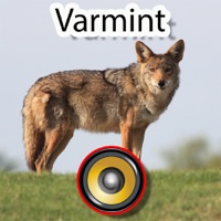 200 Varmint Calls