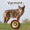 200+ unique high quality and effective Varmint Calls (Coyotes, Bobcats, Foxes, Wolf, Mountain lions and more) right in your pocket