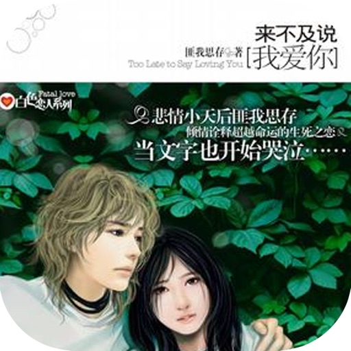 来不及说我爱你 匪我思存唯美言情小说by Lei Wang