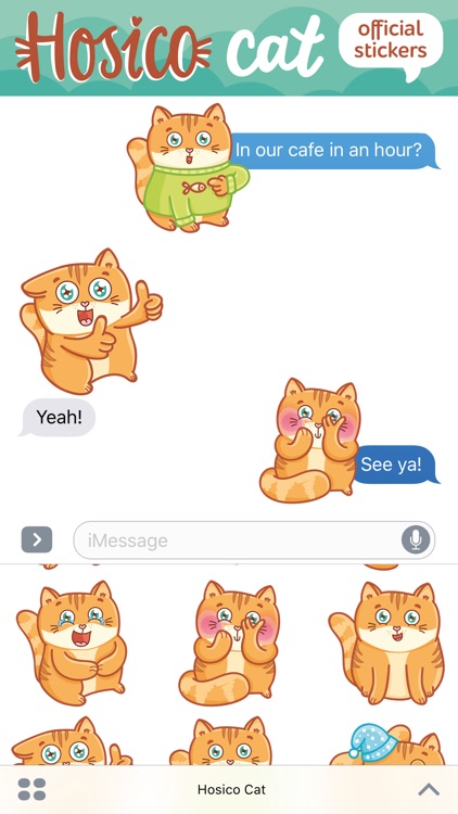 Hosico cat! Cute stickers for iMessage screenshot-3