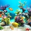 Aquarium Wallpapers | Backgrounds