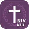 NIV Bible.