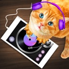 DJ Cat Real Simulator