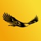 Gliding Eagle Inc