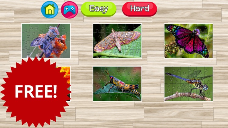 Butterfly and insect jigsaw puzzle games screenshot-4