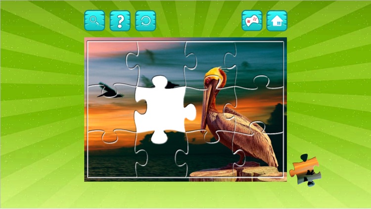 Bird Jigsaw Easy and Hard - Learn Puzzles For Kids