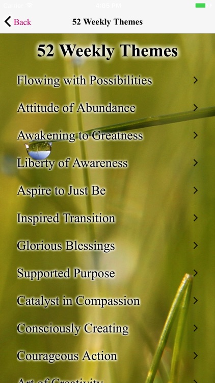 365 Intentions To Inspire