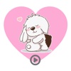 Valentine Puppy - animated stickers pack