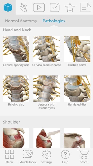 Muscle Premium - Human Anatomy, Kinesiology, Bones(圖2)-速報App