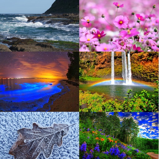 Environmental Sounds