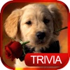 Dog Breed Quiz - Guessing Trivia For Animal Lover