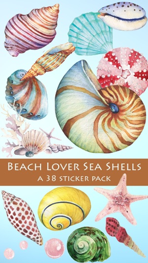 Beach Lover Sea Shells Sticker Pack