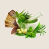 Ayurvedic Remedies - Treatment - Herbs Ayurvedic Remedies - Treatment - Herbs