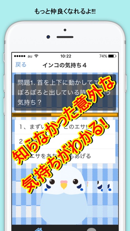 インコの気持ち screenshot-4