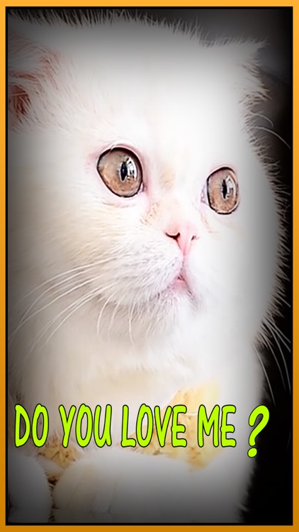 Lost Cat running game for kids – Angela Pet Kitten screenshot-4