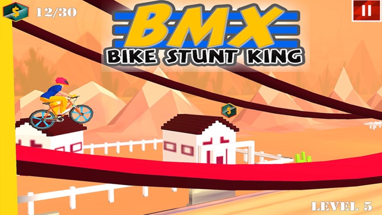 BMX Bike Stunt Race