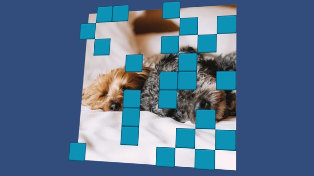 Wordsearch Revealer Pets