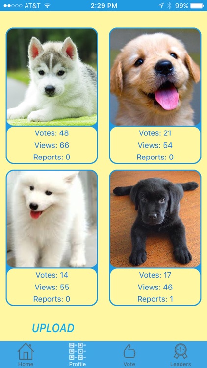 Pet Pageant screenshot-3