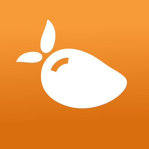 Mango Voice Mobile