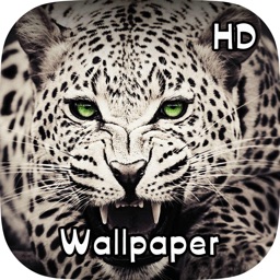 Animal Wild Wallpaper HD