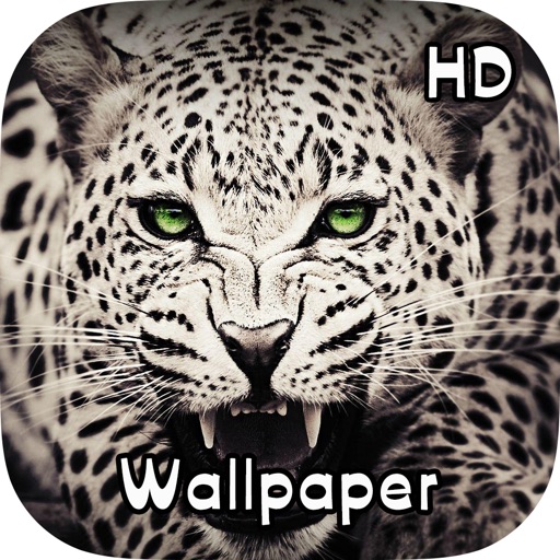 Animal Wild Wallpaper HD