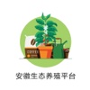 安徽生态养殖平台.