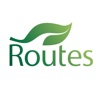 Routes Travel and Tours