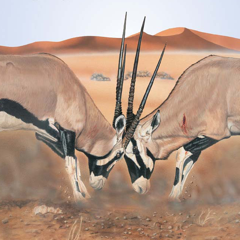 Mammals of the Southern African Subregion