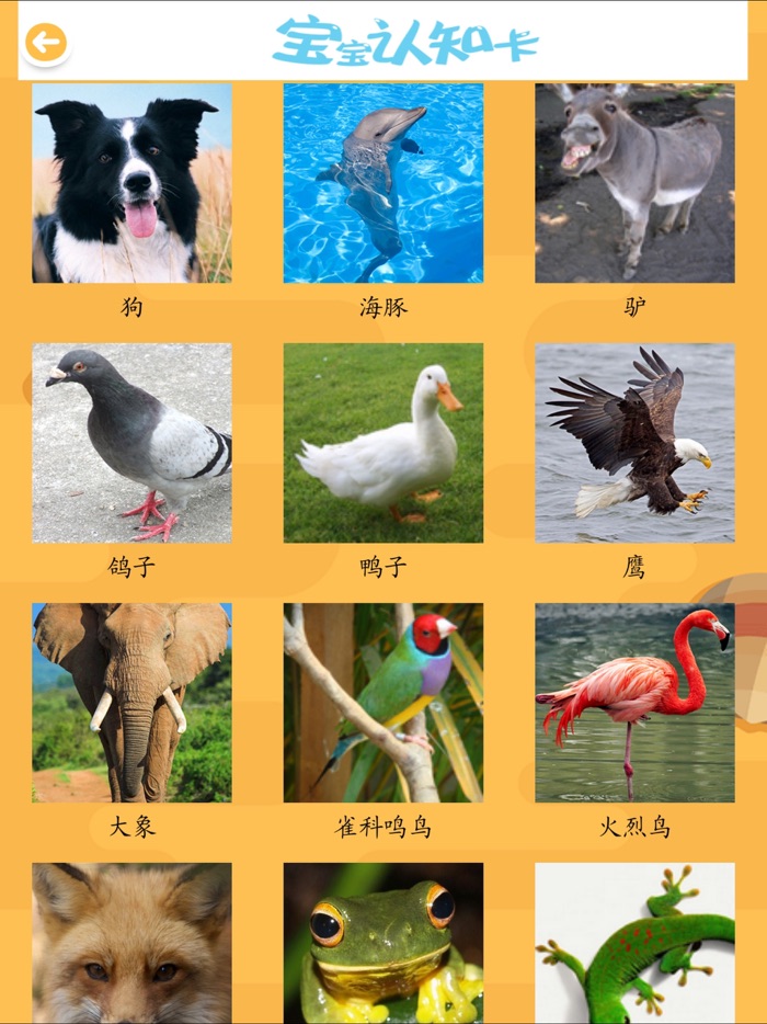 ABC宝宝学汉字大巴士认动物声音全集