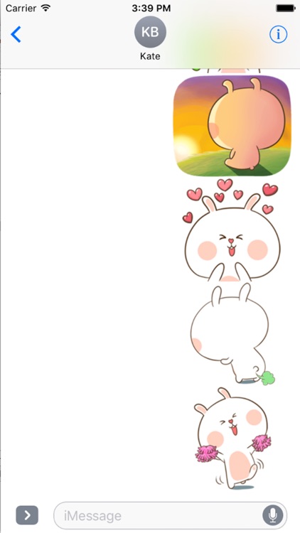 Fluffy Rabbit Love