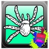 Spiders Coloring Game For Toddle