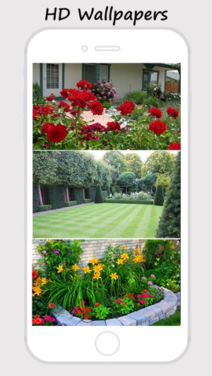 Amazing Yard And Garden Wallpapers(圖4)-速報App