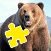 Jigsaw Puzzles Bear Games For Kids Learnning