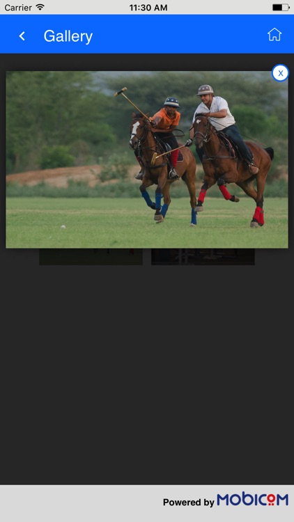 Gurgaon Polo Club screenshot-4