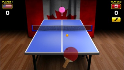 World Cup Table Tennis Screenshot 2