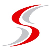 SILVER CAR
