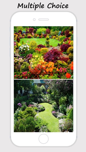 Amazing Yard And Garden Wallpapers(圖2)-速報App