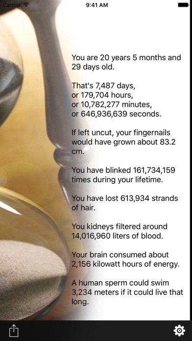 Life Timer - Age Counter screenshot1