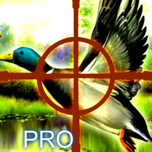 A Best  Hunter Pro: Real Duck Hunting